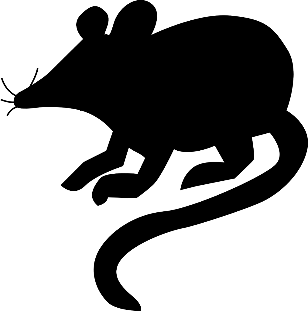 mouse, rat, silhouette-308389.jpg